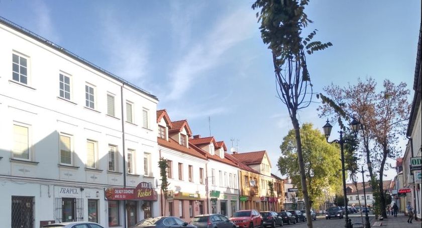 Miasto, Sadzą drzewa Świętojańskiej Rynek - zdjęcie, fotografia
