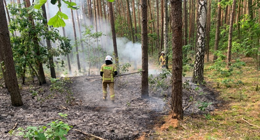 fot. Patryk Dąbrowski, OSP Raszyn