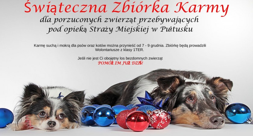 Zespół Szkół Zawodowych im. Jana Ruszkowskiego w Pułtusku