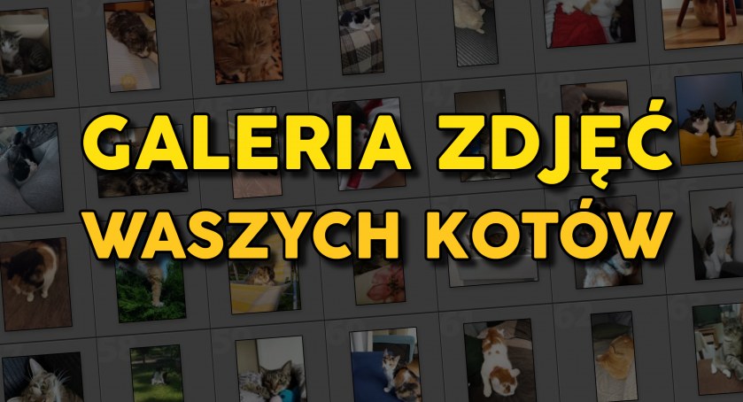 fot. Czytelnicy Pułtuskiej Gazety Powiatowej i portalu pultusk24.pl