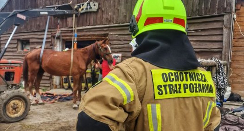 fot. FB OSP Świercze