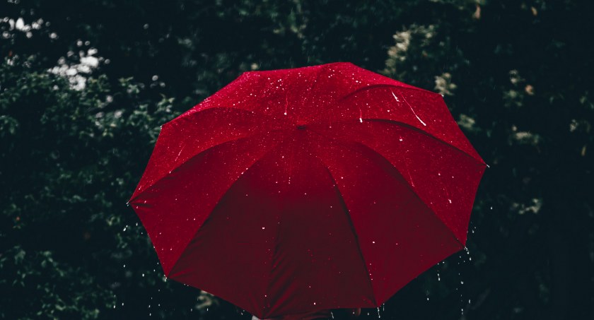 Zdj. poglądowe: Aline Nadai, pexels
