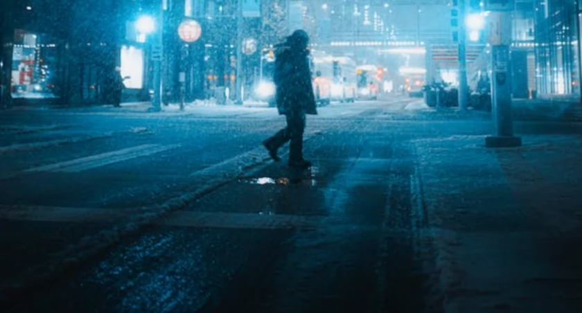 fot. pexels