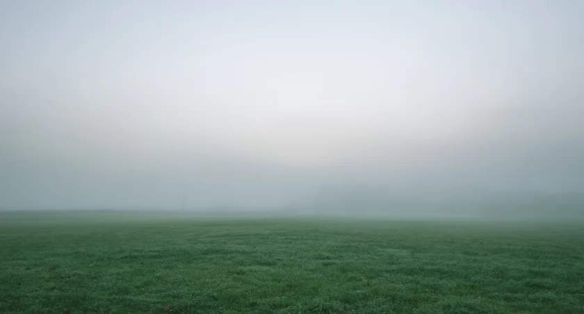 Zdj. poglądowe: James Wheeler, pexels