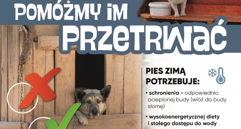 Grafika: Fundacja ZWIERZ