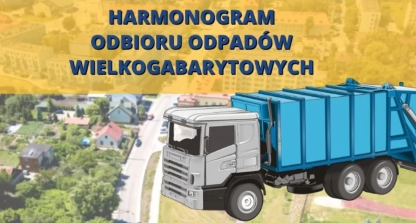 Grafika: UM Pułtusk