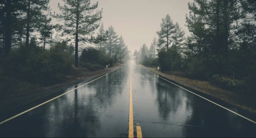 Fot. Pexels