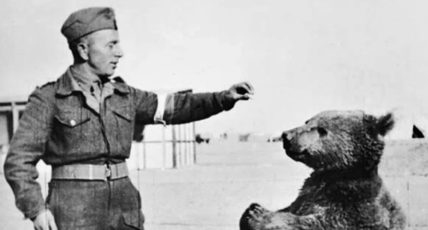 Fot. Autorstwa Imperial War Museum - POLISH FORCES DURING THE SECOND WORLD WAR, Domena publiczna, https://commons.wikimedia.org/w/index.php?curid=11562927