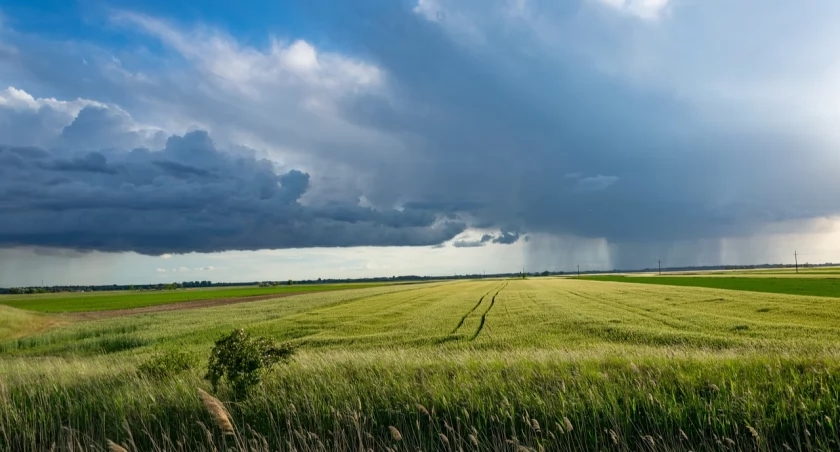 Zdj. poglądowe: pixabay.com