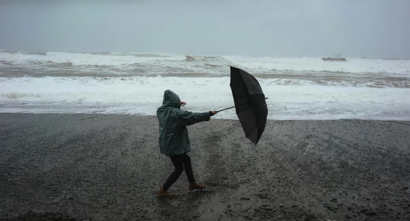 Zdj. poglądowe: Dziana Hasanbekava, pexels