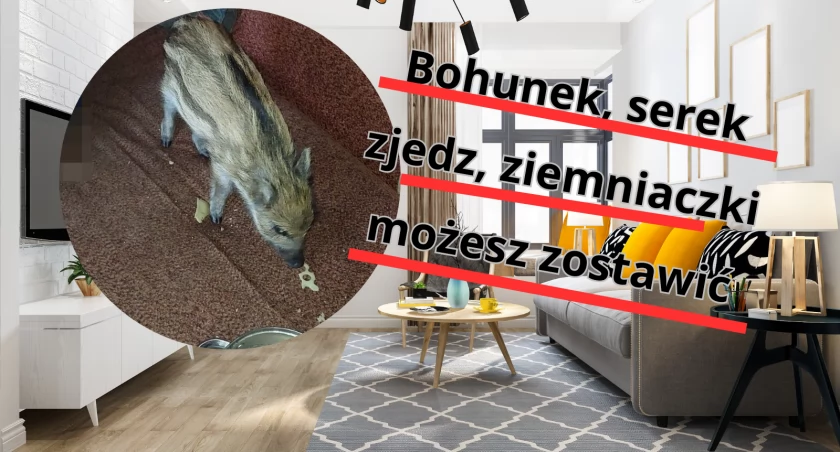 Fot. freepik.com/KPP Garwolin