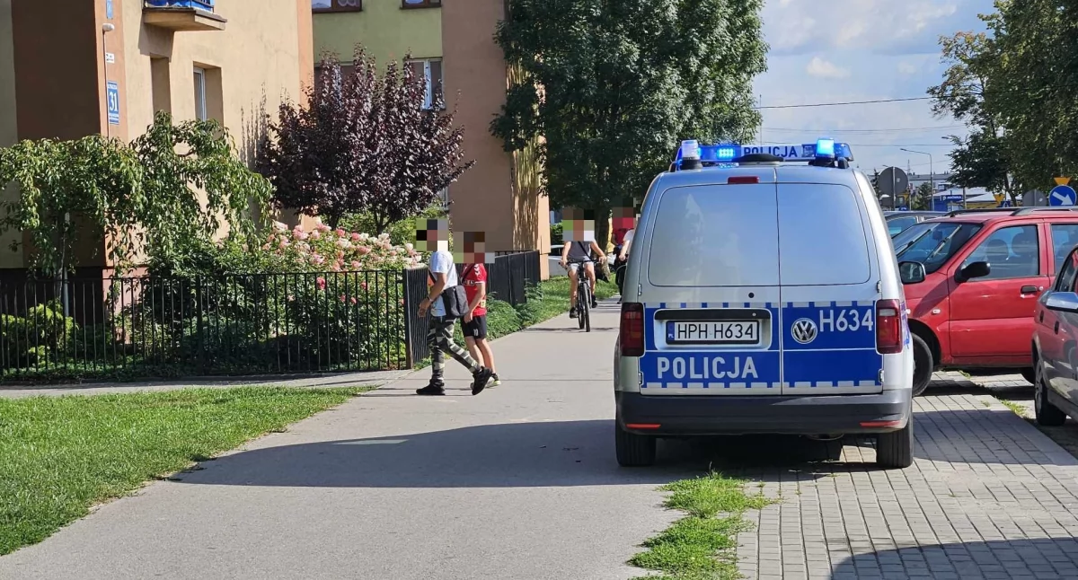 Policja, pogryzł letnią dziewczynkę Tysiąclecia - zdjęcie, fotografia
