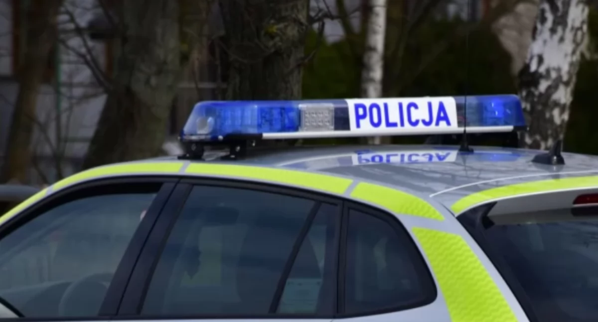 Policja, żyje letnia dziewczynka matka usłyszała zarzuty przestrodze - zdjęcie, fotografia