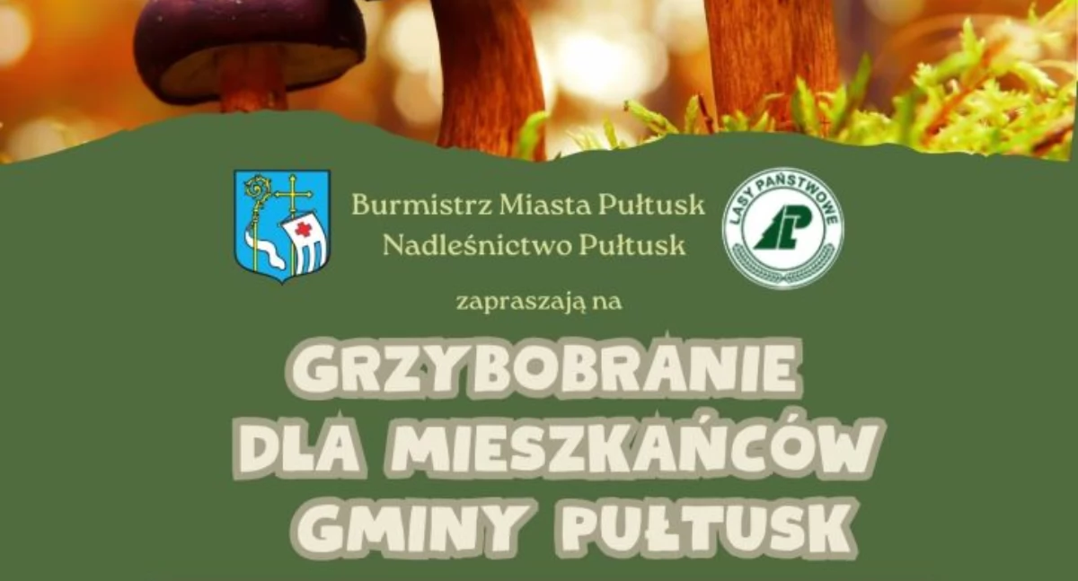 WIADOMOŚCI Z URZĘDU MIEJSKIEGO W PUŁTUSKU, Grzybobranie mieszkańców Gminy Pułtusk serdeczne zapraszamy! - zdjęcie, fotografia