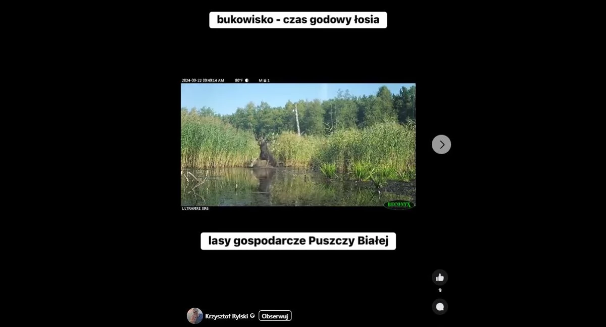 fot.fb/Krzysztof Rylski
