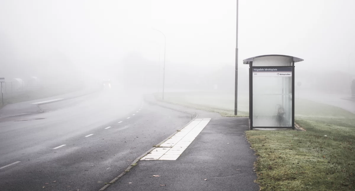 Pogoda, Dziś znowu mgły - zdjęcie, fotografia