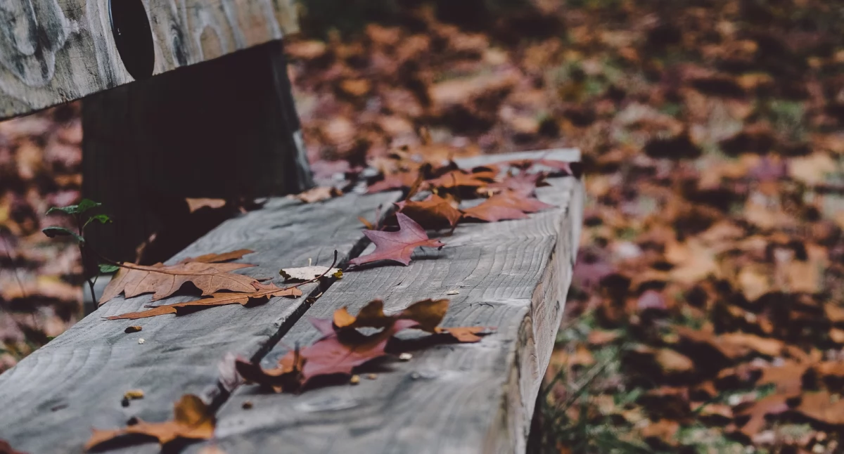 Pogoda, Listopadowa całego prognoza pogody IMGiW weekend - zdjęcie, fotografia