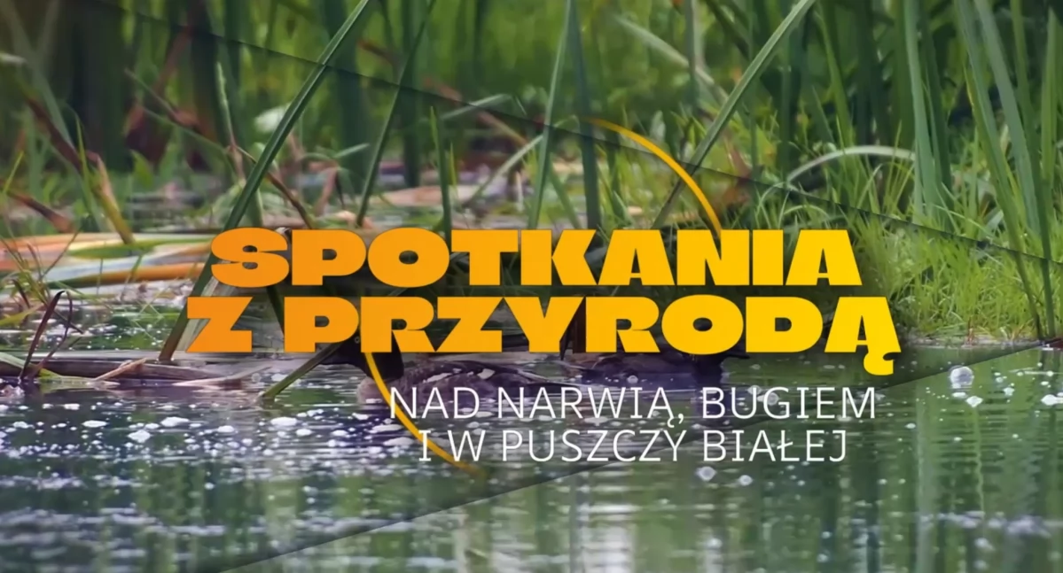 Przyroda, Fascynujący świat ukrytej kamerze - zdjęcie, fotografia