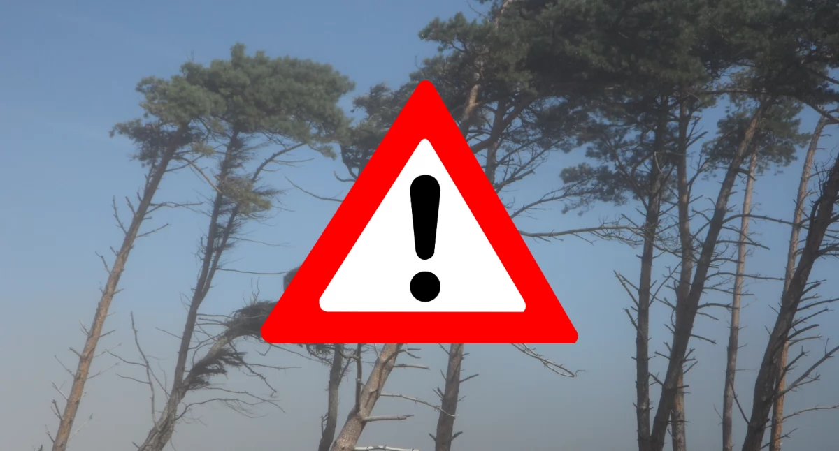 Pogoda, Pogodowy alert będzie wiało - zdjęcie, fotografia