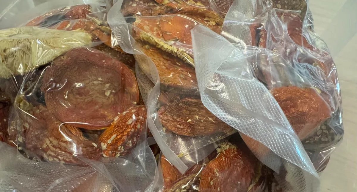 Policja, Sprzedawał sieci suszonego muchomora produkty pochodne Interweniowała Policja Sanepid - zdjęcie, fotografia