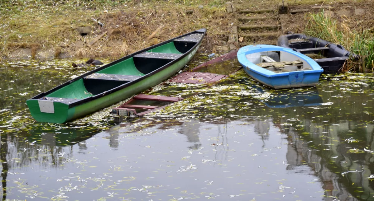 Pogoda, weekend ocieplenie - zdjęcie, fotografia
