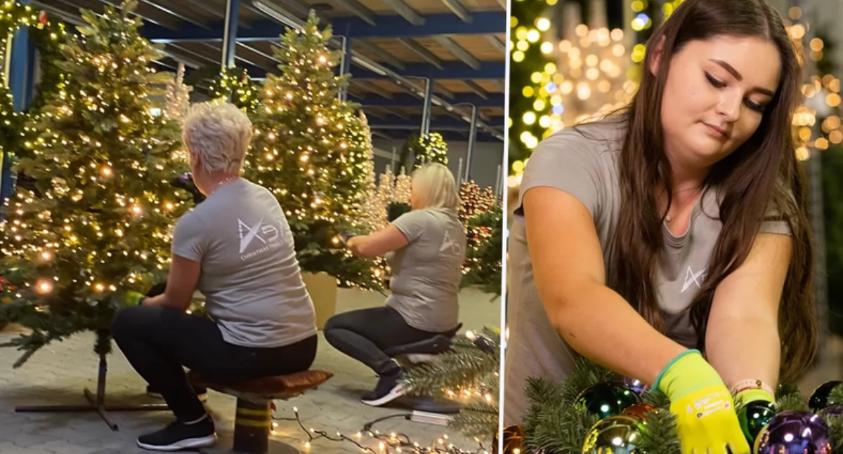 Społeczeństwo, Światowa stolica choinek Polsce Panie teraz nocach śpię! - zdjęcie, fotografia