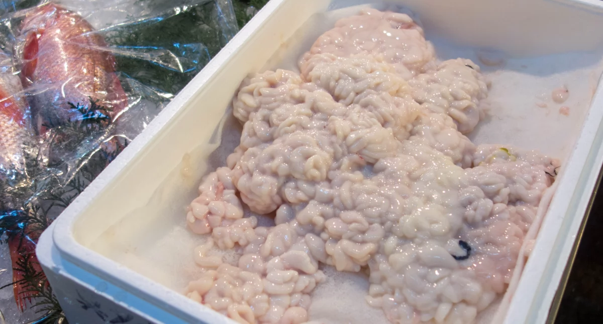 fot. Kent Wang from London, United Kingdom, CC BY-SA 2.0, via Wikimedia Commons