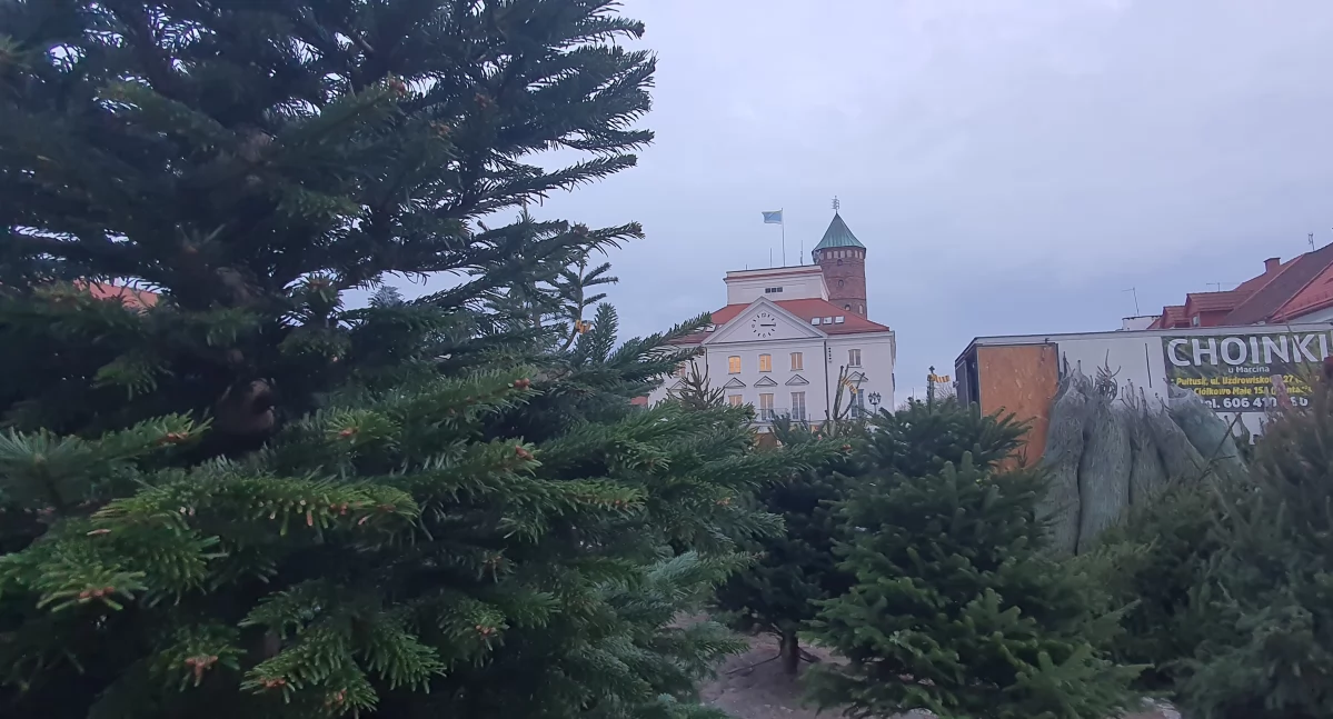 Społeczeństwo, Choinkowe pułtuskie miasteczka Które lubicie najbardziej - zdjęcie, fotografia