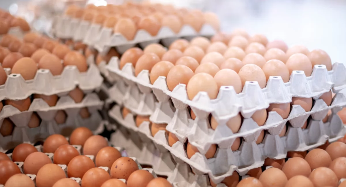 Kulinaria, Częsty błąd podczas gotowania jajek Sprawdź uniknąć - zdjęcie, fotografia