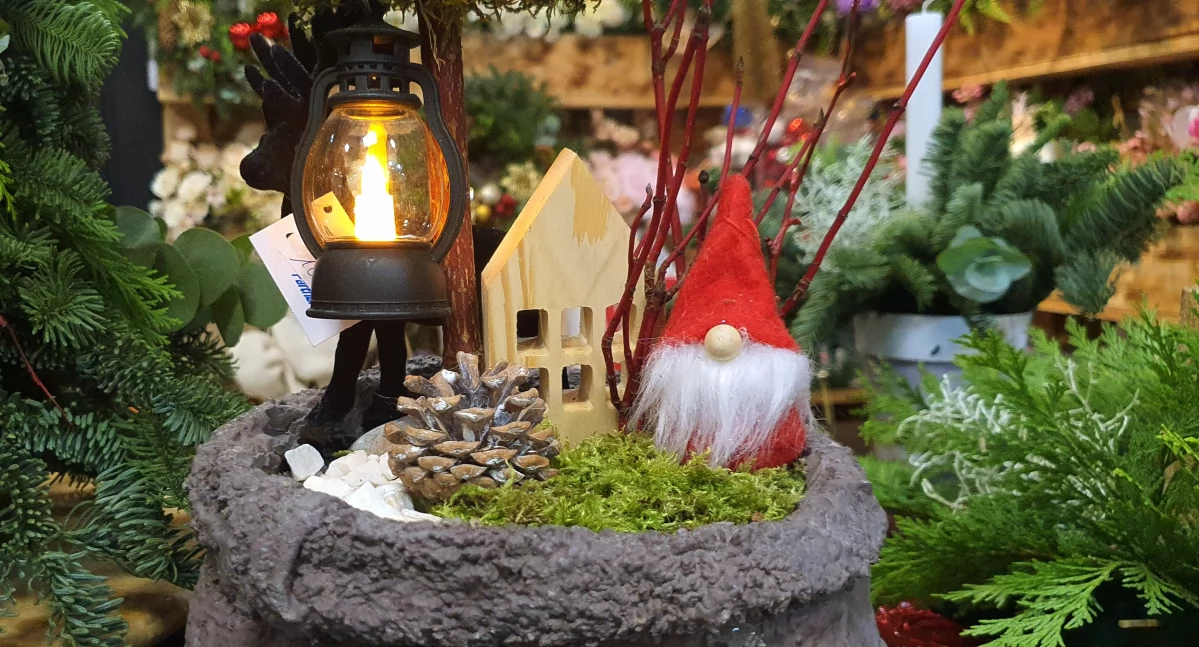 Społeczeństwo, Zróbmy sobie świąteczne zdjęcie - zdjęcie, fotografia