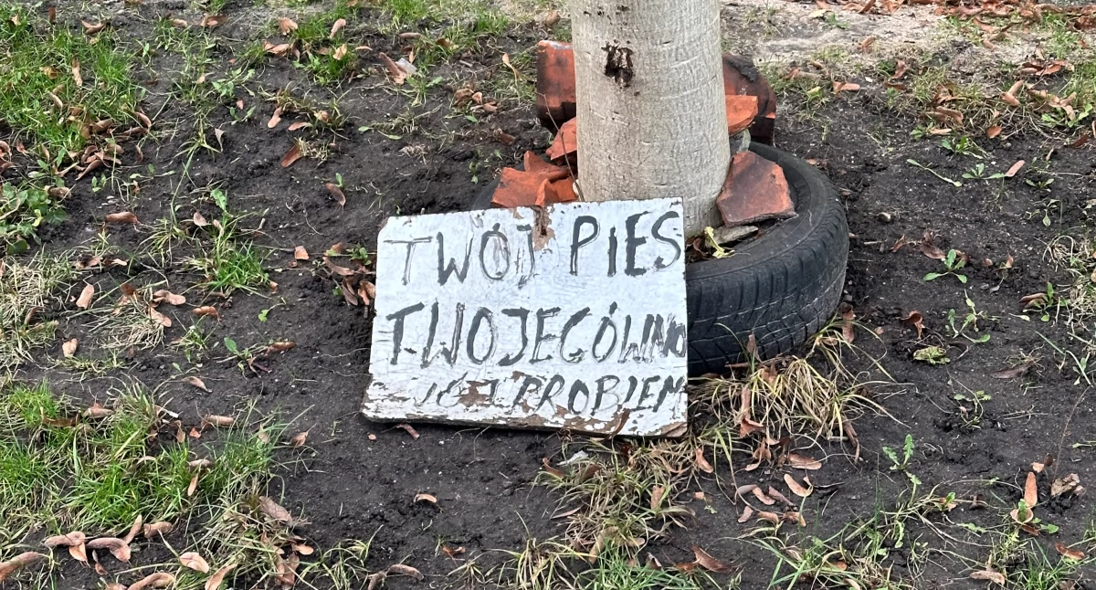 Społeczeństwo, Pułtuskie migawki dosadna tablica! - zdjęcie, fotografia