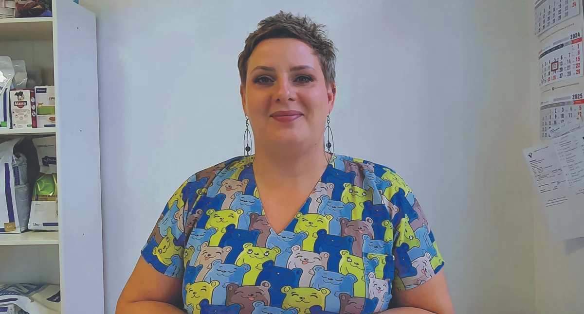 Zwierzaki, Sylwestra dramat wszystkich zwierząt - zdjęcie, fotografia