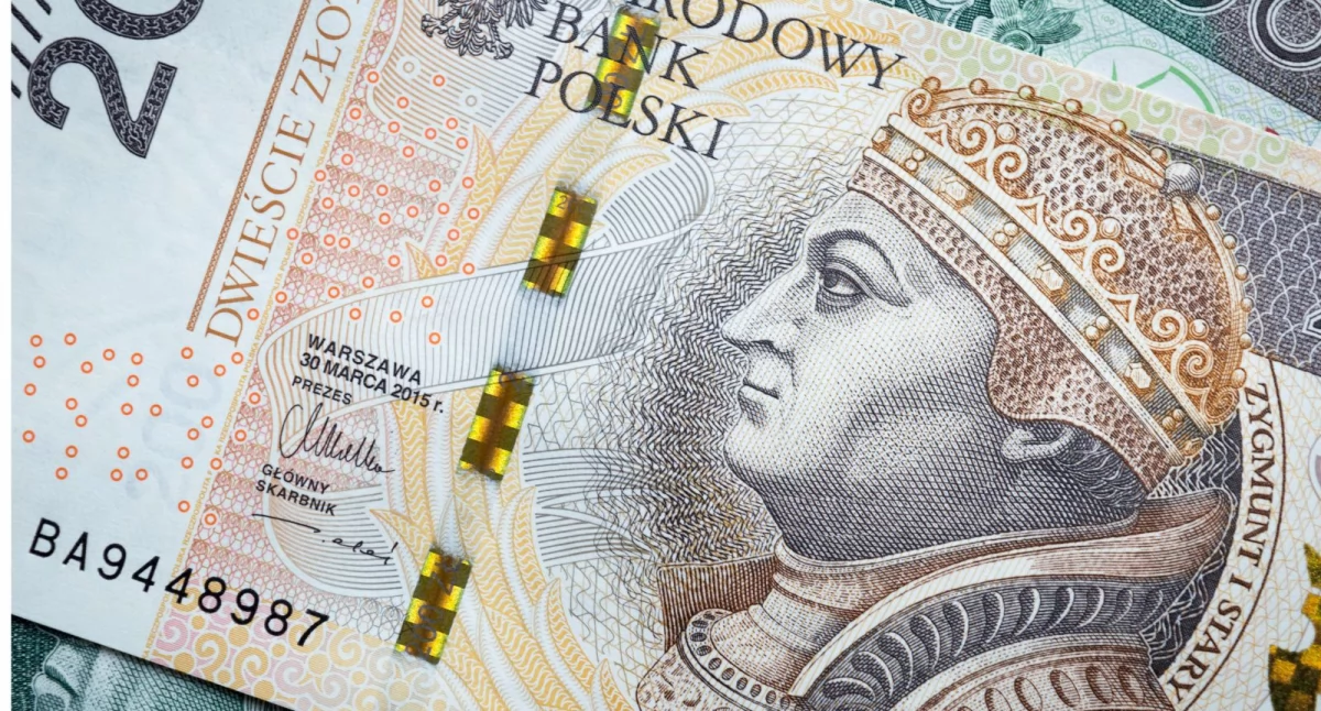 Finanse, „Renta wdowia” możliwość łączenia wypłaty renty rodzinnej innym świadczeniem - zdjęcie, fotografia