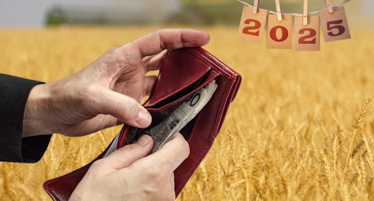 Zdj. poglądowe: Redakcja Monday News