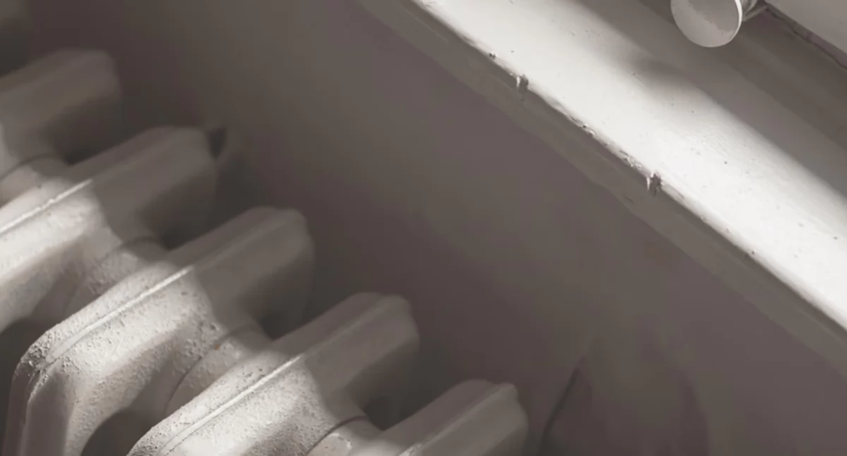 Zdrowie, Połóż przyprawę kaloryferze Efekt może zaskoczyć - zdjęcie, fotografia