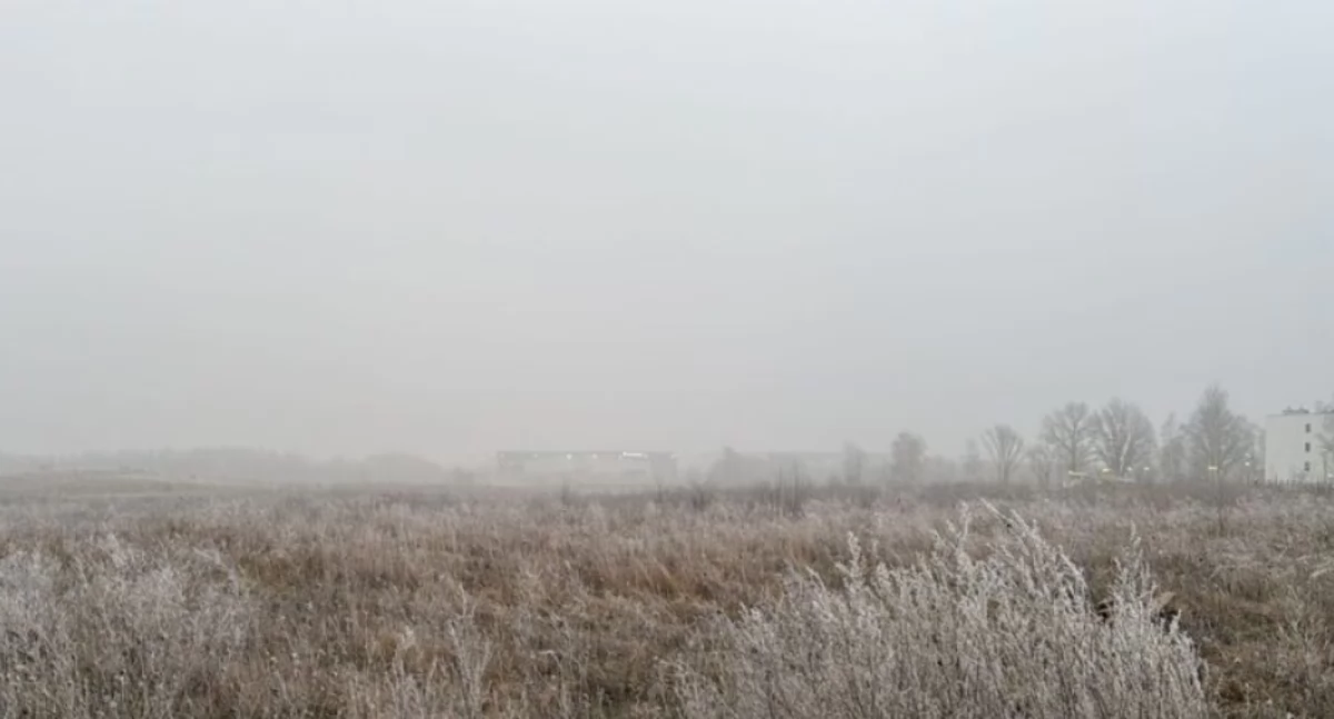 Styczniowe mgły, 23.01.2025 r. Fot. Jakub Walijewski | IMGW-PIB