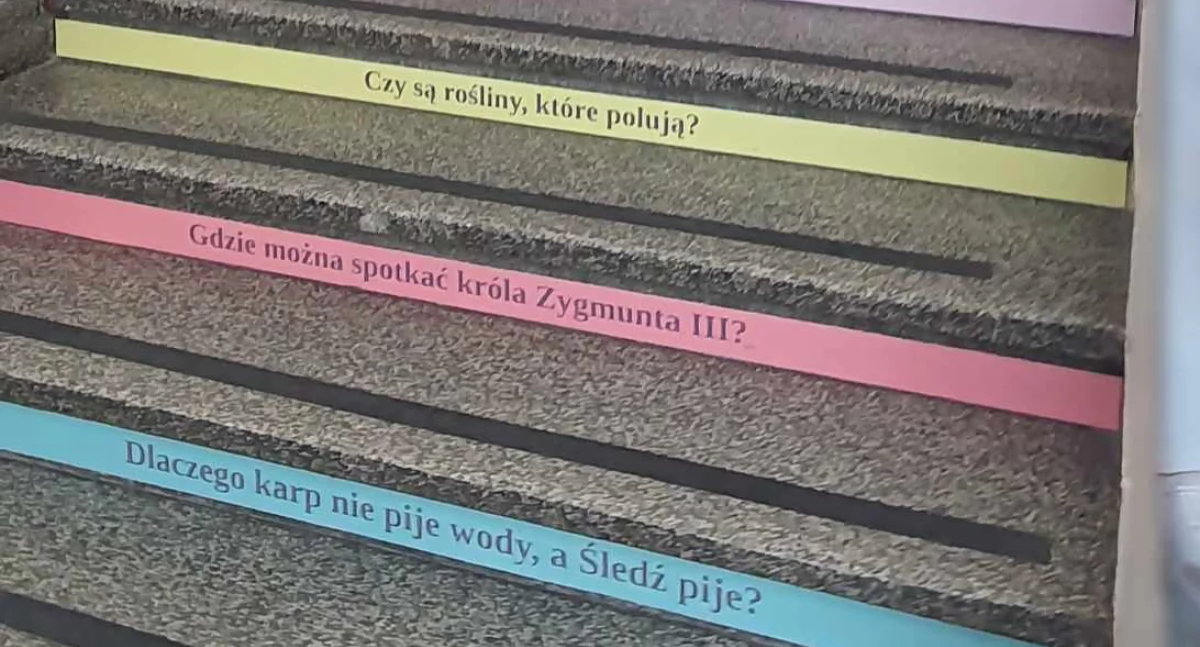 Społeczeństwo, Prawo zmieniła zasady oceniania jednego zadań egzaminu ósmoklasisty - zdjęcie, fotografia