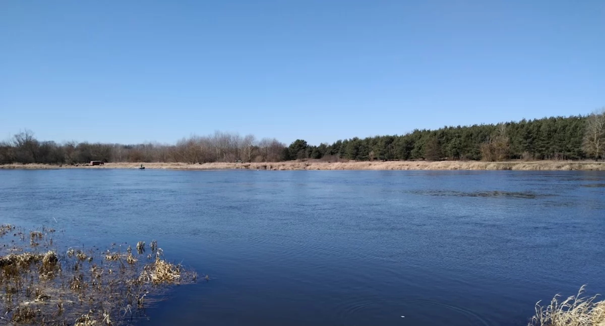 Narew w Szygówku