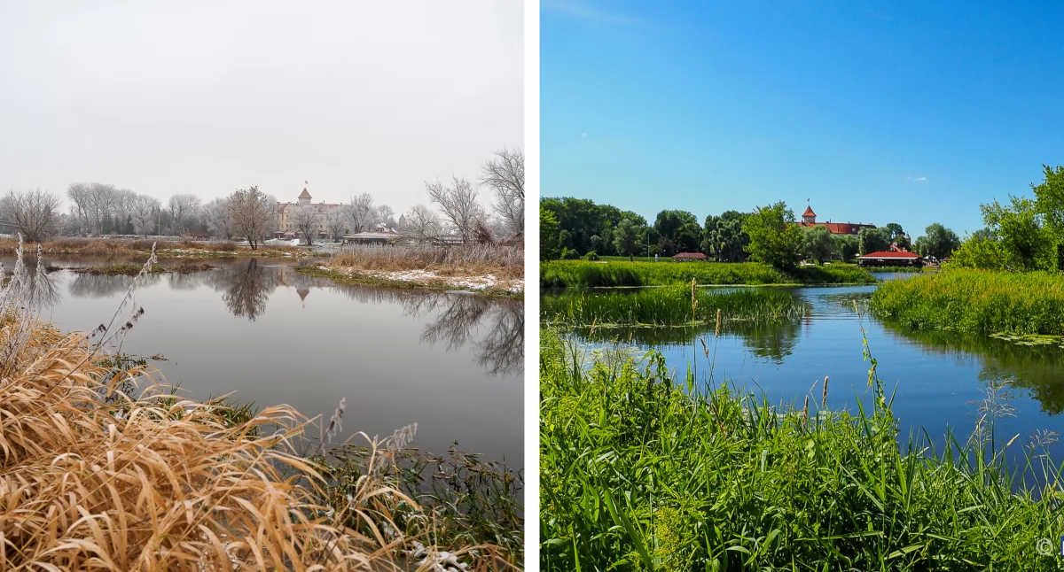 Przyroda, fotografie jedna miłość… - zdjęcie, fotografia