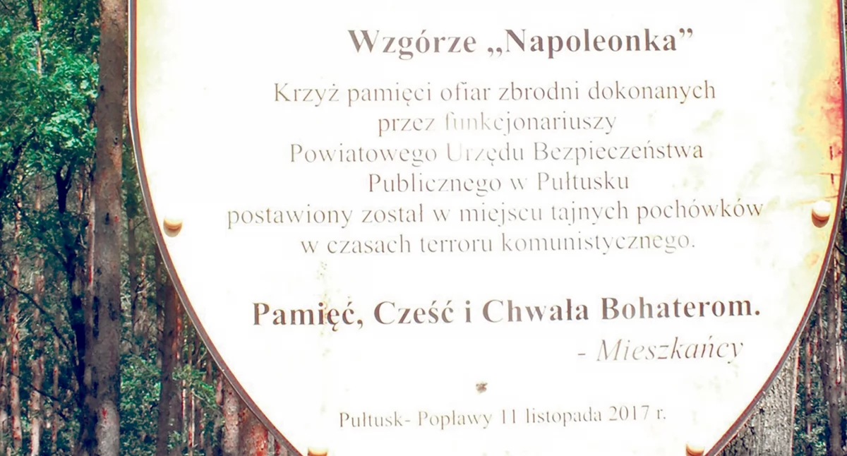 Historia, Willa ulicy Tartacznej - zdjęcie, fotografia