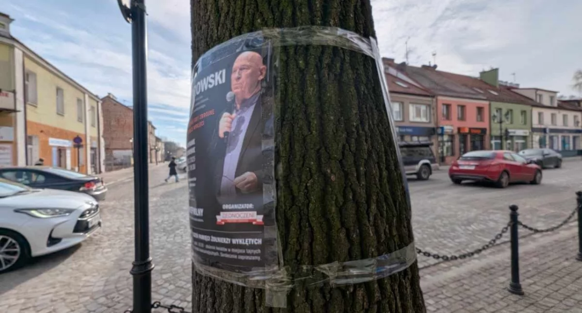Społeczeństwo, Słup ogłoszeniowy Pułtusk… więcej szacunku drzew prosimy! - zdjęcie, fotografia