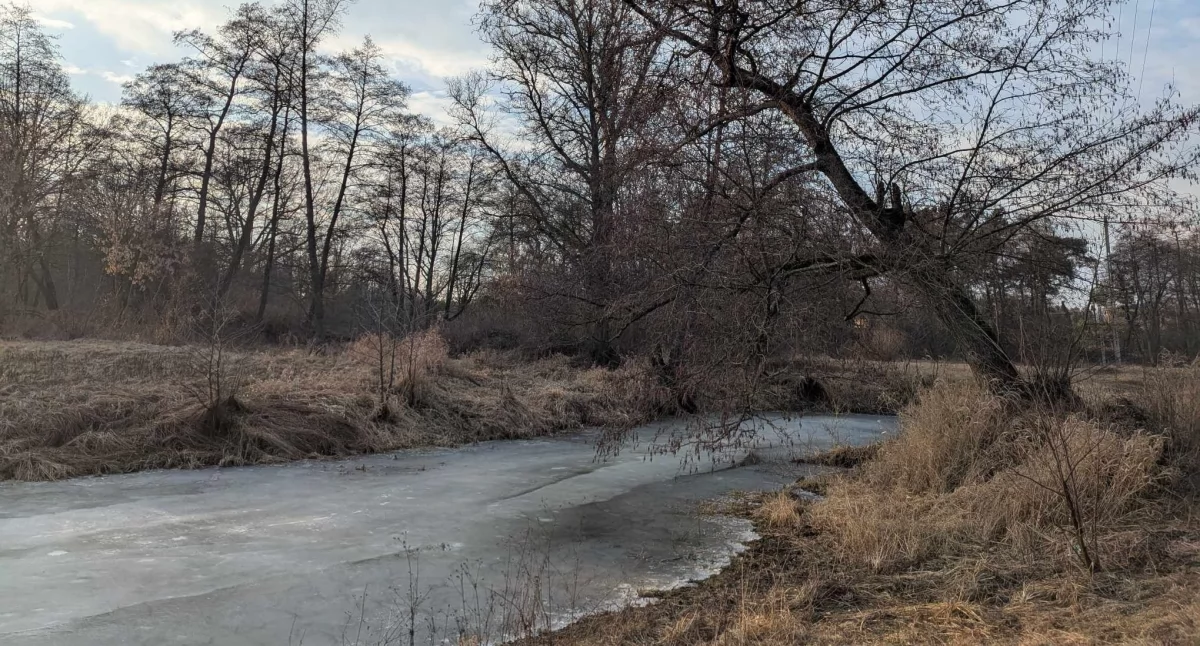 Pogoda, Weekend pochmurny przejaśnieniami - zdjęcie, fotografia