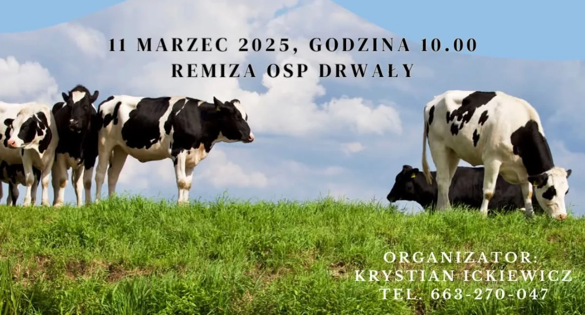 Społeczeństwo, Gmina Zatory zaprasza bezpłatne szkolenie - zdjęcie, fotografia