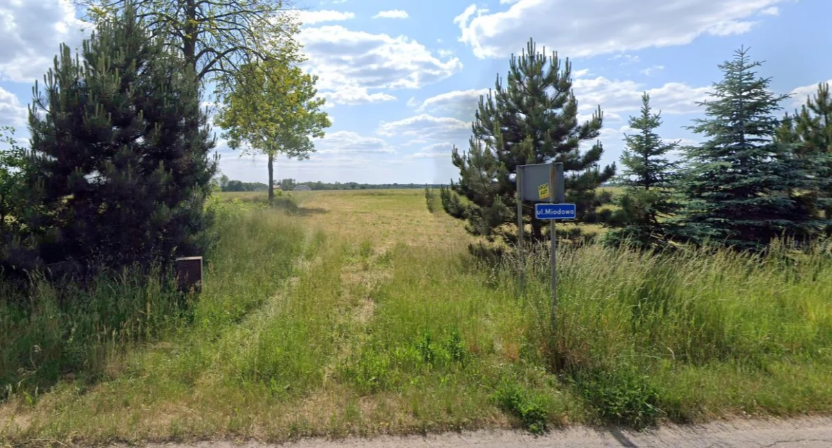 Fot. poglądowe, Google Maps. Winnica ul. Miodowa