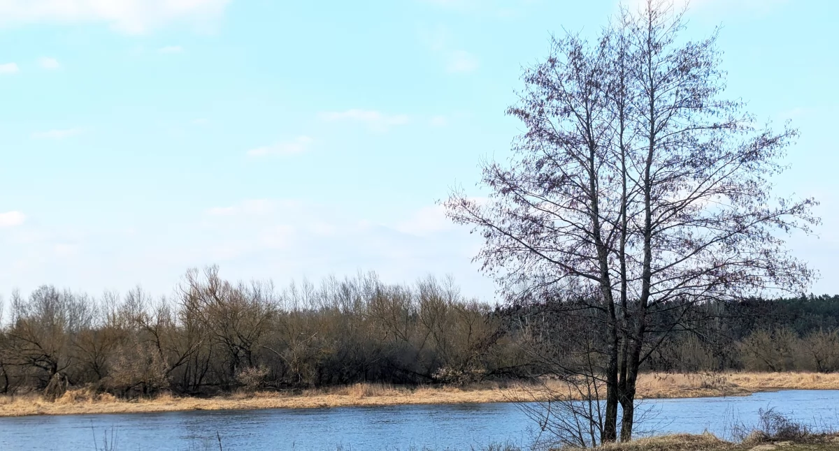 Pogoda, Prognoza ostatni weekend marca - zdjęcie, fotografia