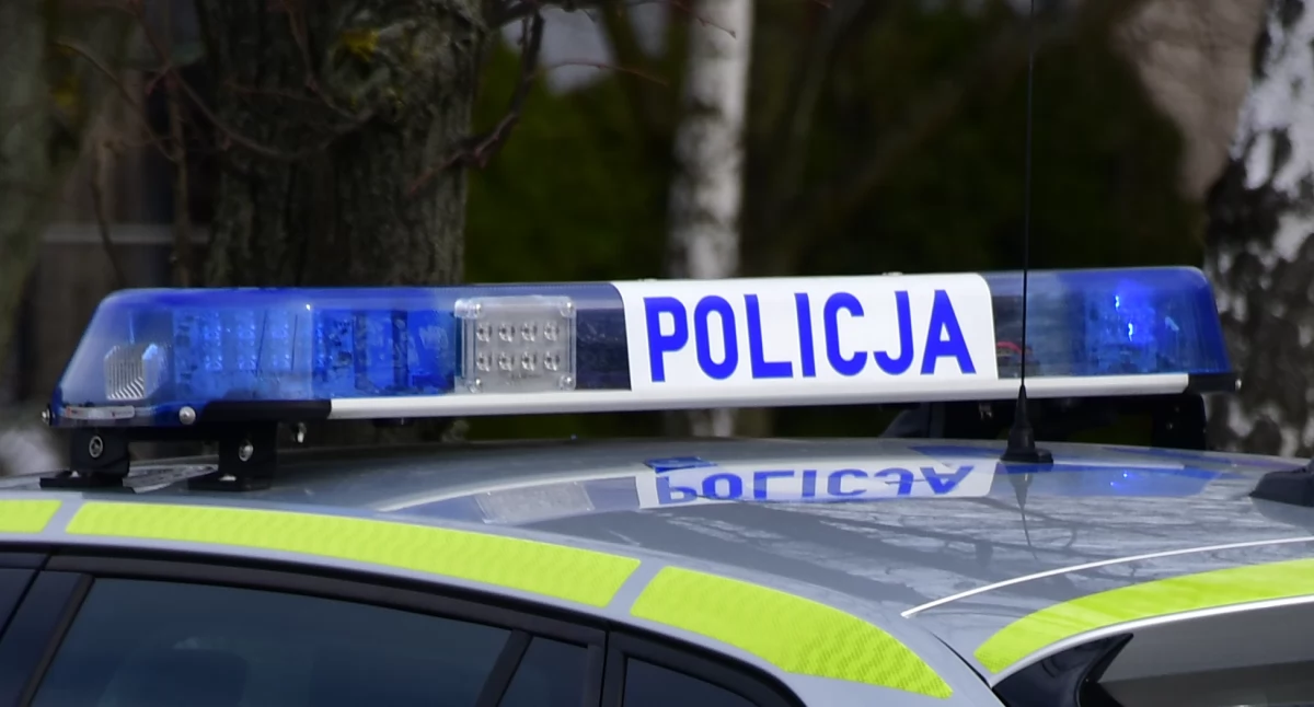 Policja, Tragiczne potrącenie mężczyzny trasie Pułtusk Ciechanów Policja poszukuje świadków - zdjęcie, fotografia