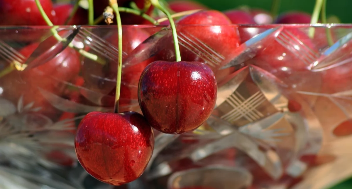 Zdj. poglądowe: pixabay