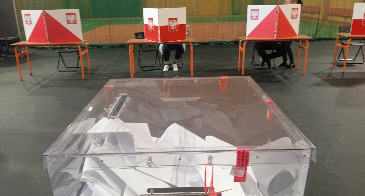 Społeczeństwo, Prawo aplikacja mObywatel potwierdzi tożsamość wyborcy - zdjęcie, fotografia