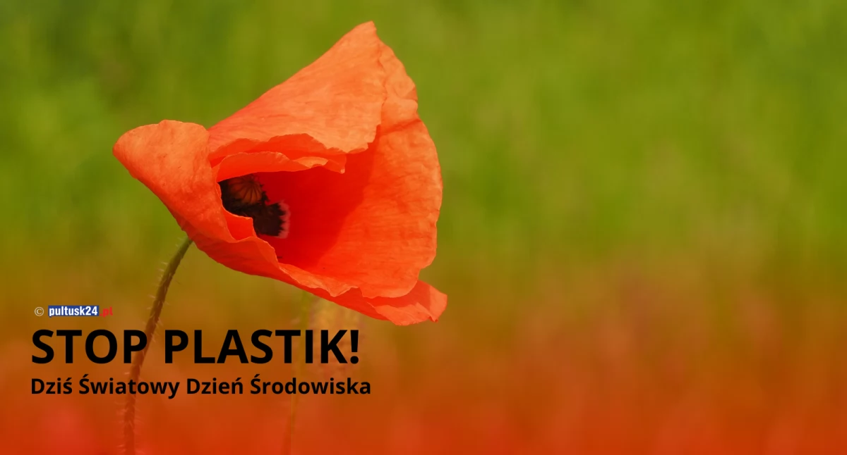 STOP PLASTIK! Dziś Światowy Dzień Środowiska!