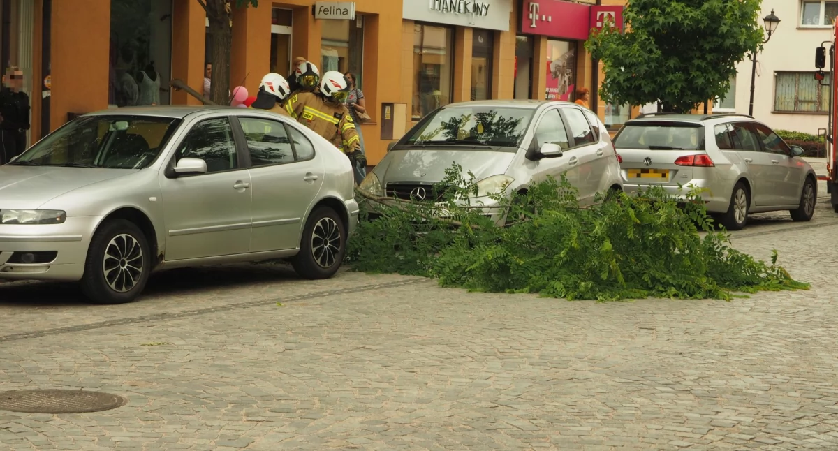 Straż Pożarna, Świętojańskiej gałąź spadła samochód - zdjęcie, fotografia